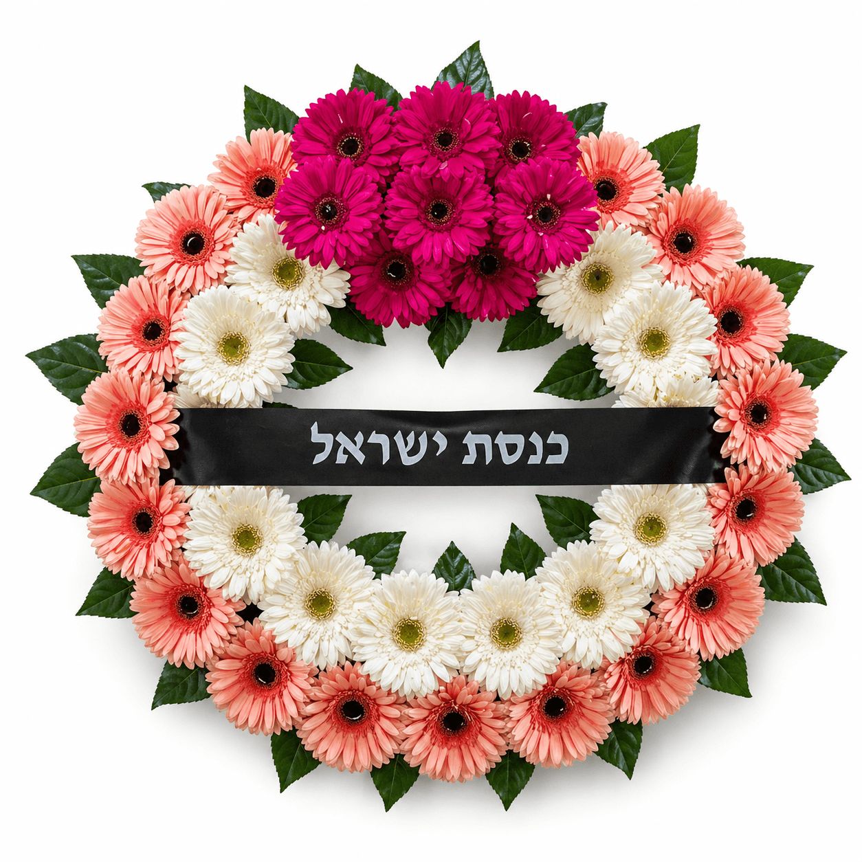 זר אבל ורוד-לבן-אפרסק מגרברות