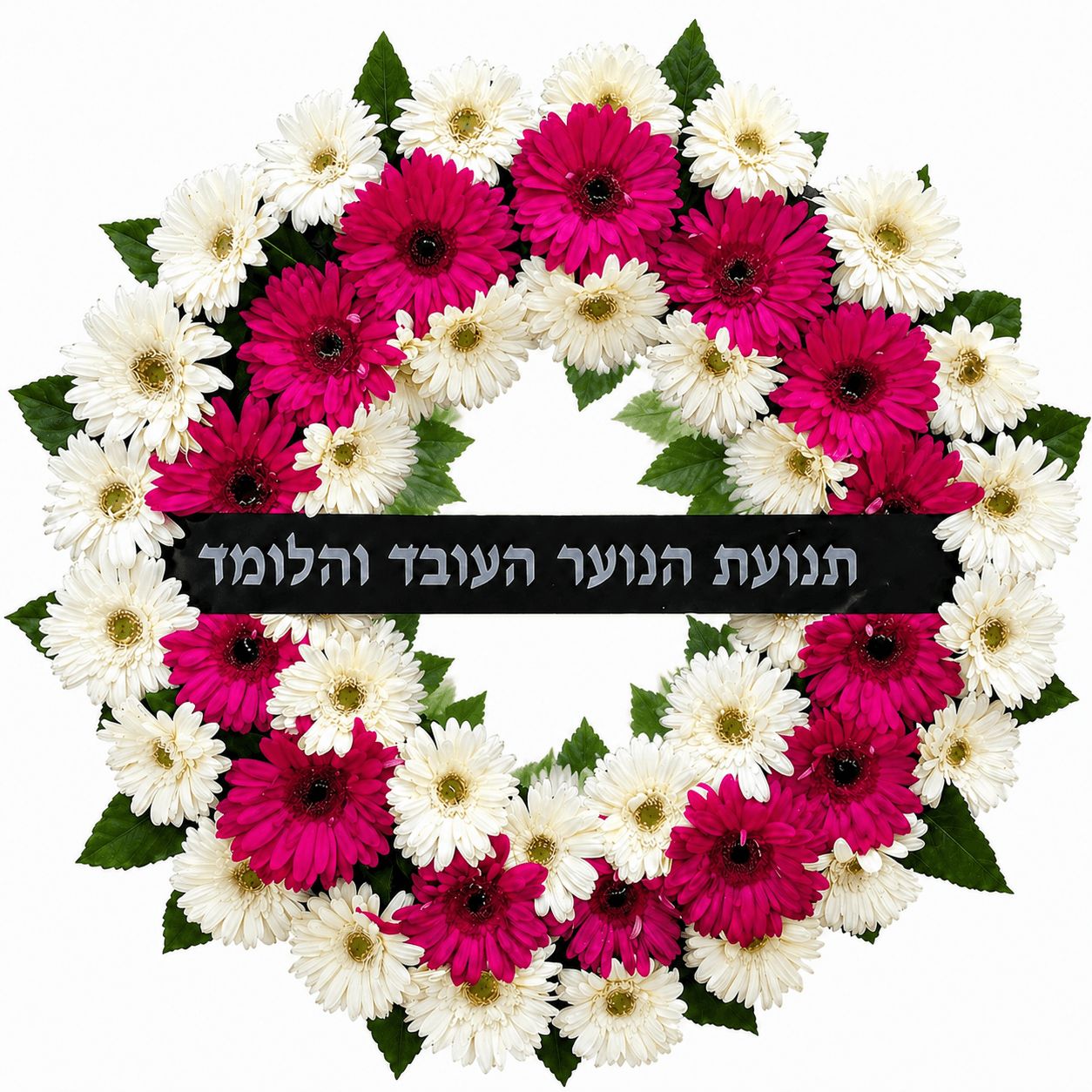 גלגל אבל ורוד-לבן מגרברות – משלוח בירושלים