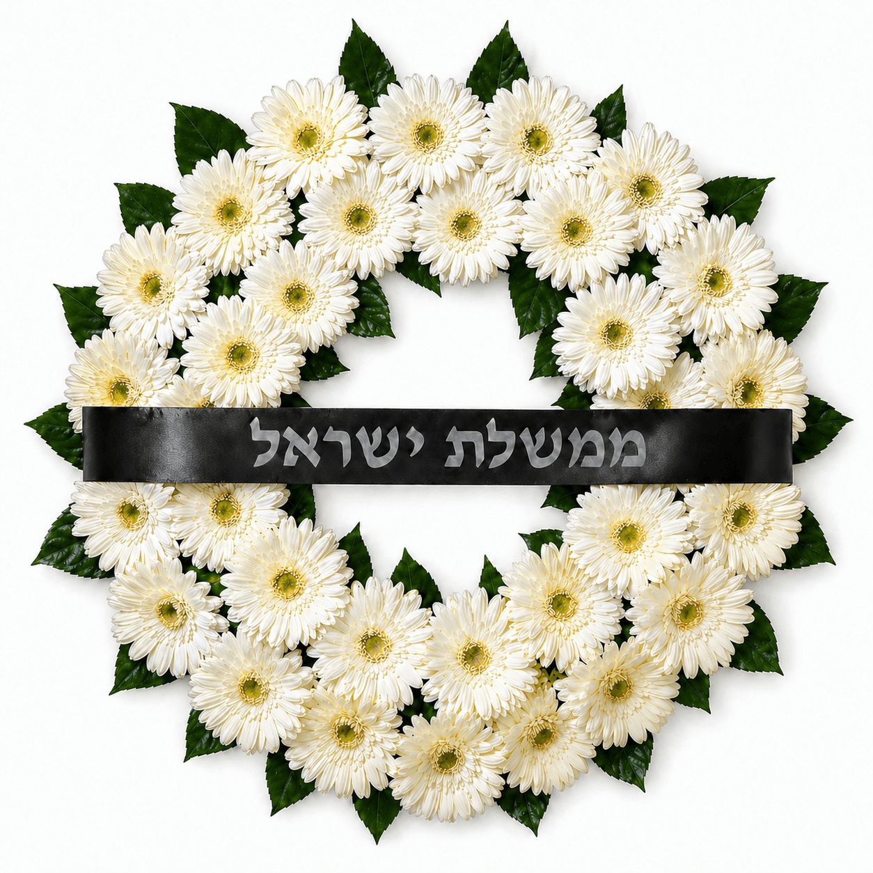 גלגל אבל לבן מגרברות – משלוח בירושלים