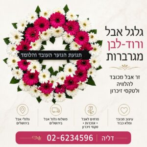 גלגל אבל ורוד-לבן מגרברות – משלוח בירושלים