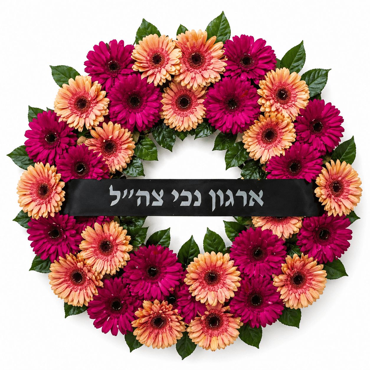 זר אבל ורוד-אפרסק מגרברות